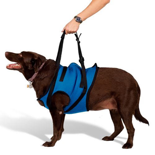 Mobility Harness - Front